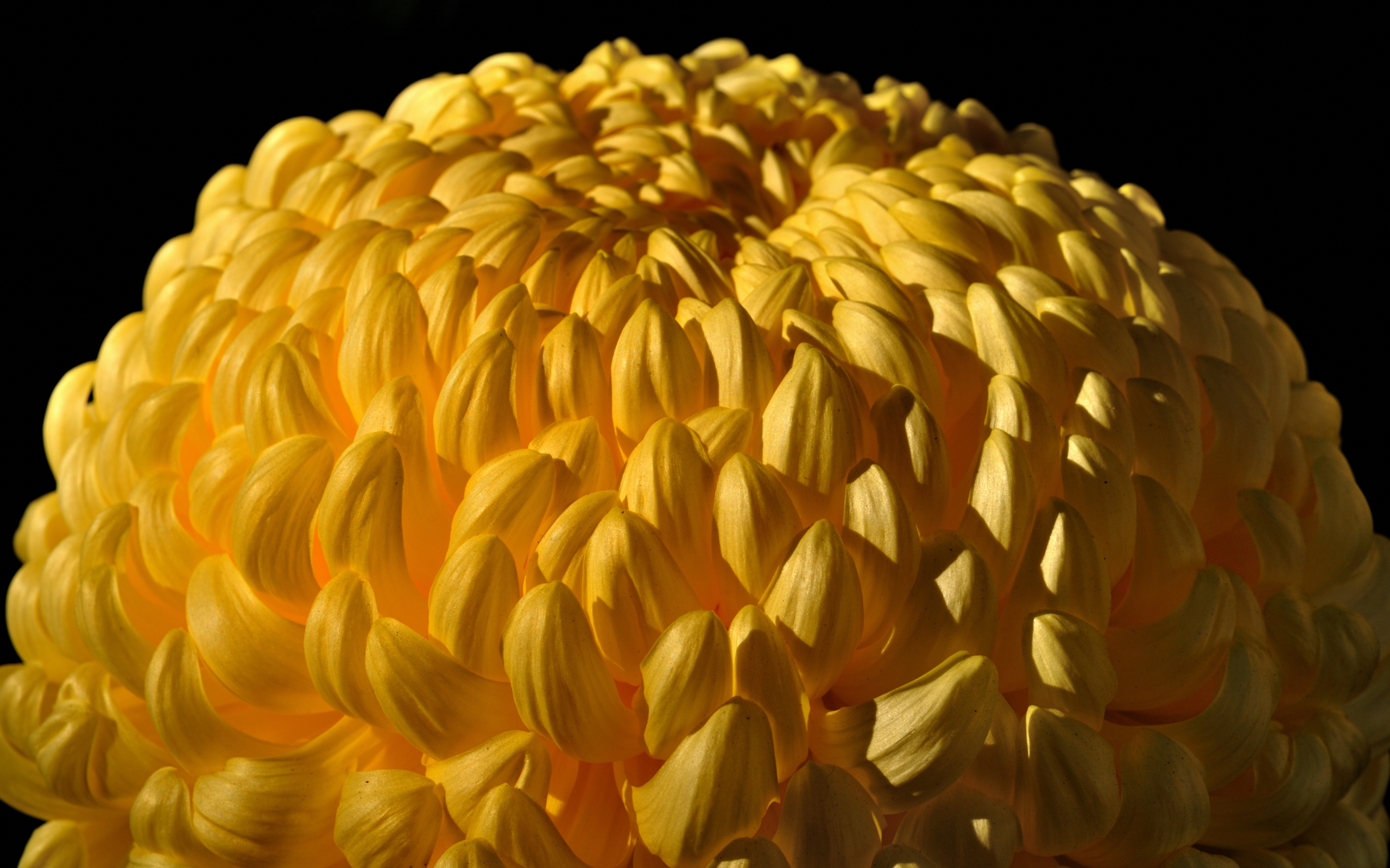    2560x1600 ::  1